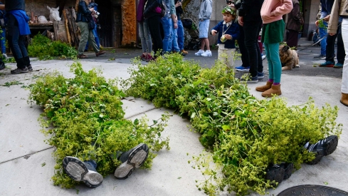 Los Maios de Villafranca 2025 (42)