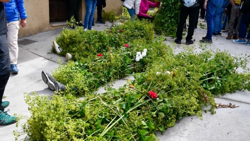 Los Maios de Villafranca 2025 (52)