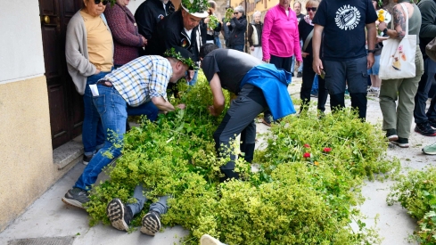 Los Maios de Villafranca 2025 (54)