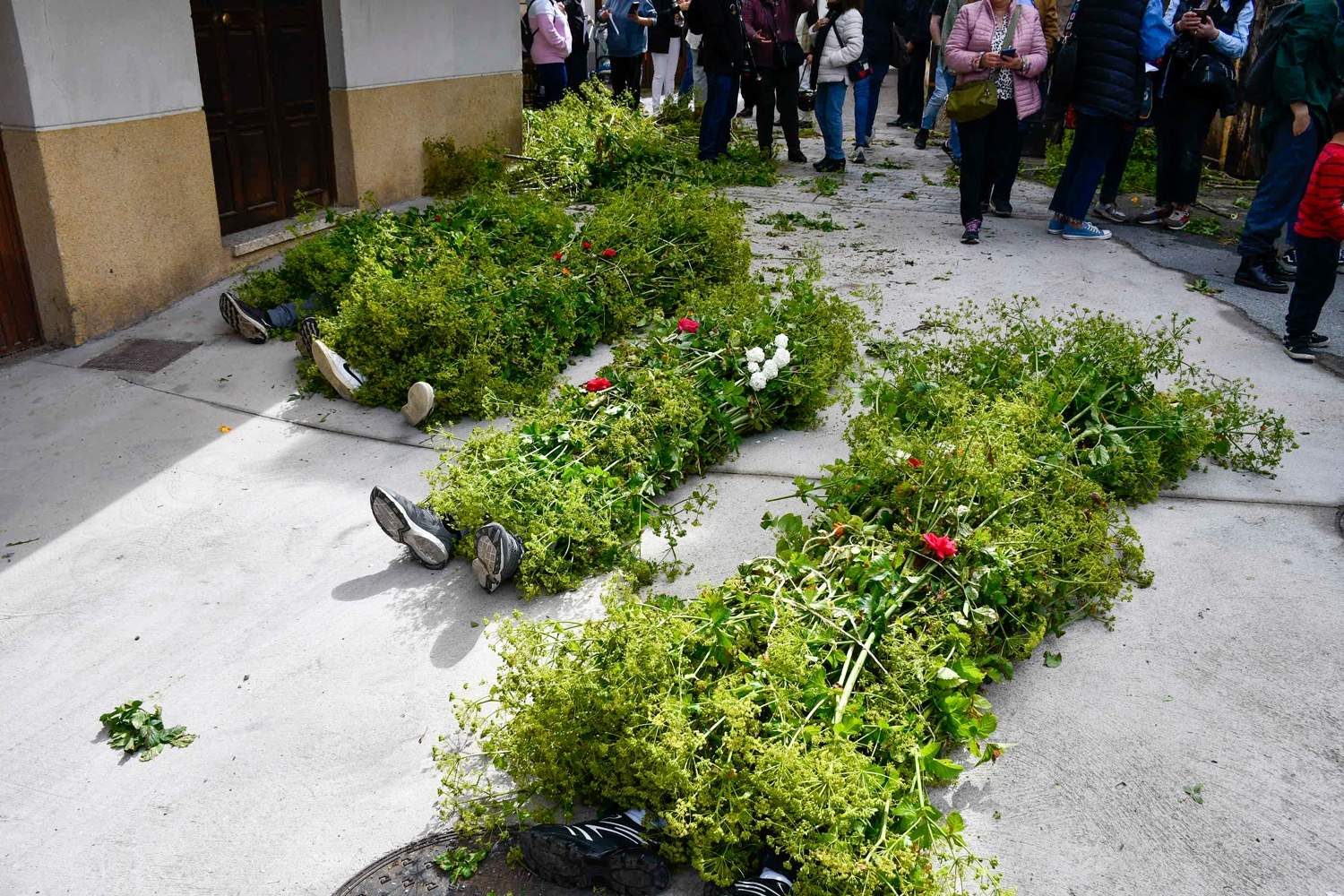 Los Maios de Villafranca 2025 (56)