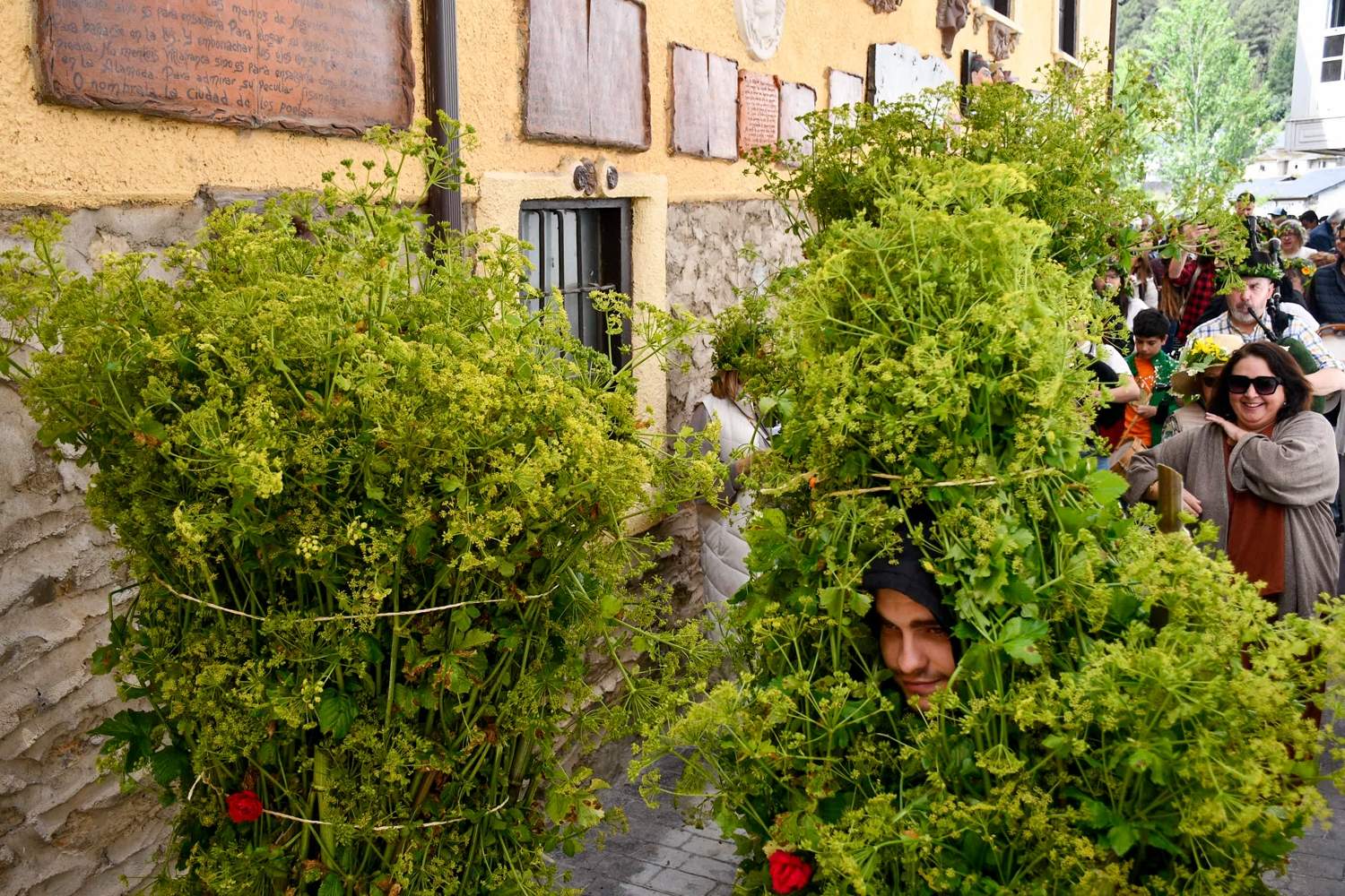 Los Maios de Villafranca 2025 (66)