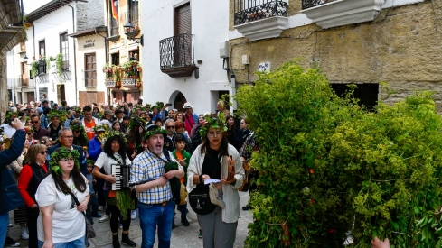 Los Maios de Villafranca 2025 (76)