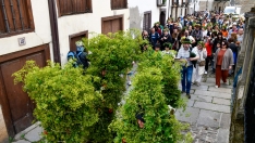 Los Maios de Villafranca 2025 (84)