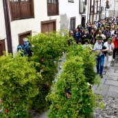 Los Maios de Villafranca 2025 (84)