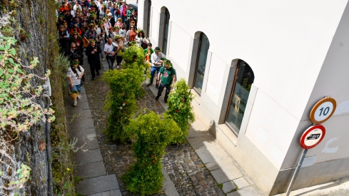 Los Maios de Villafranca 2025 (86)