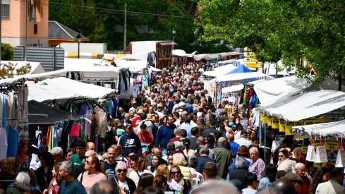 Feria de Mayo de Cacabelos (1)