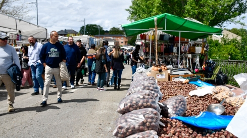 Feria de Mayo de Cacabelos (2)