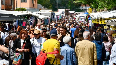 Feria de Mayo de Cacabelos (4)