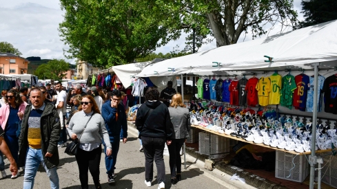 Feria de Mayo de Cacabelos (5)