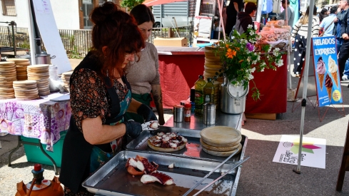 Feria de Mayo de Cacabelos (7)