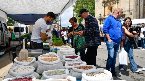 Feria de Mayo de Cacabelos (11)