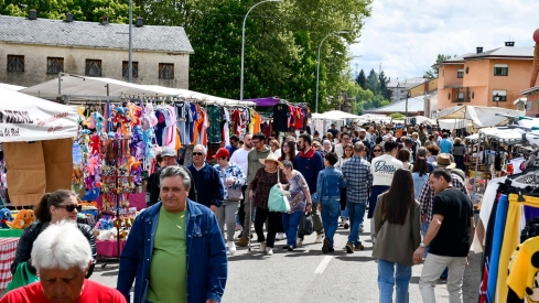 Feria de Mayo de Cacabelos (12)