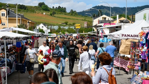 Feria de Mayo de Cacabelos (16)