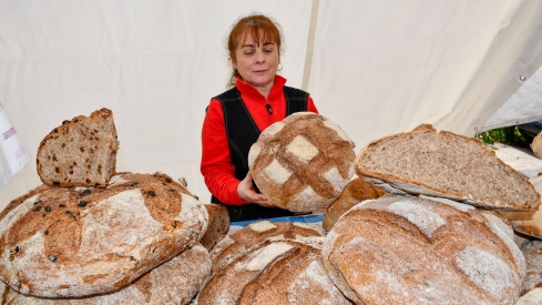 Feria de Mayo de Cacabelos (30)