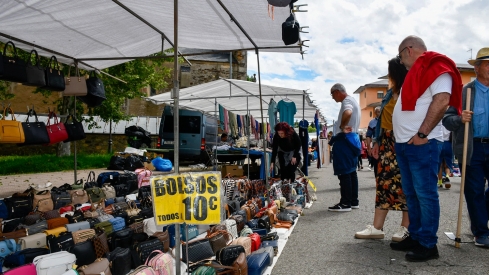 Feria de Mayo de Cacabelos (31)