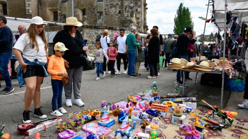 Feria de Mayo de Cacabelos (34)