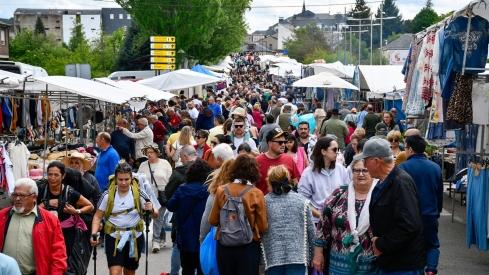 Feria de Mayo de Cacabelos (36)
