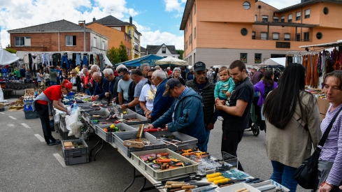 Feria de Mayo de Cacabelos (44)