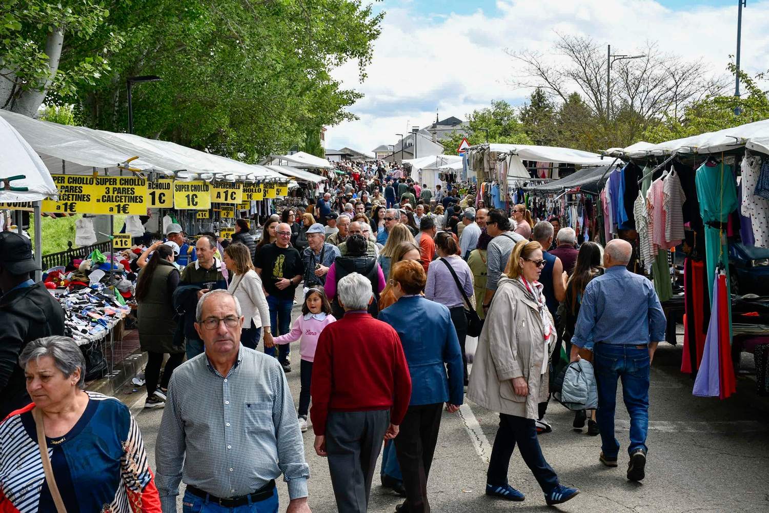 Feria de Mayo de Cacabelos (60)
