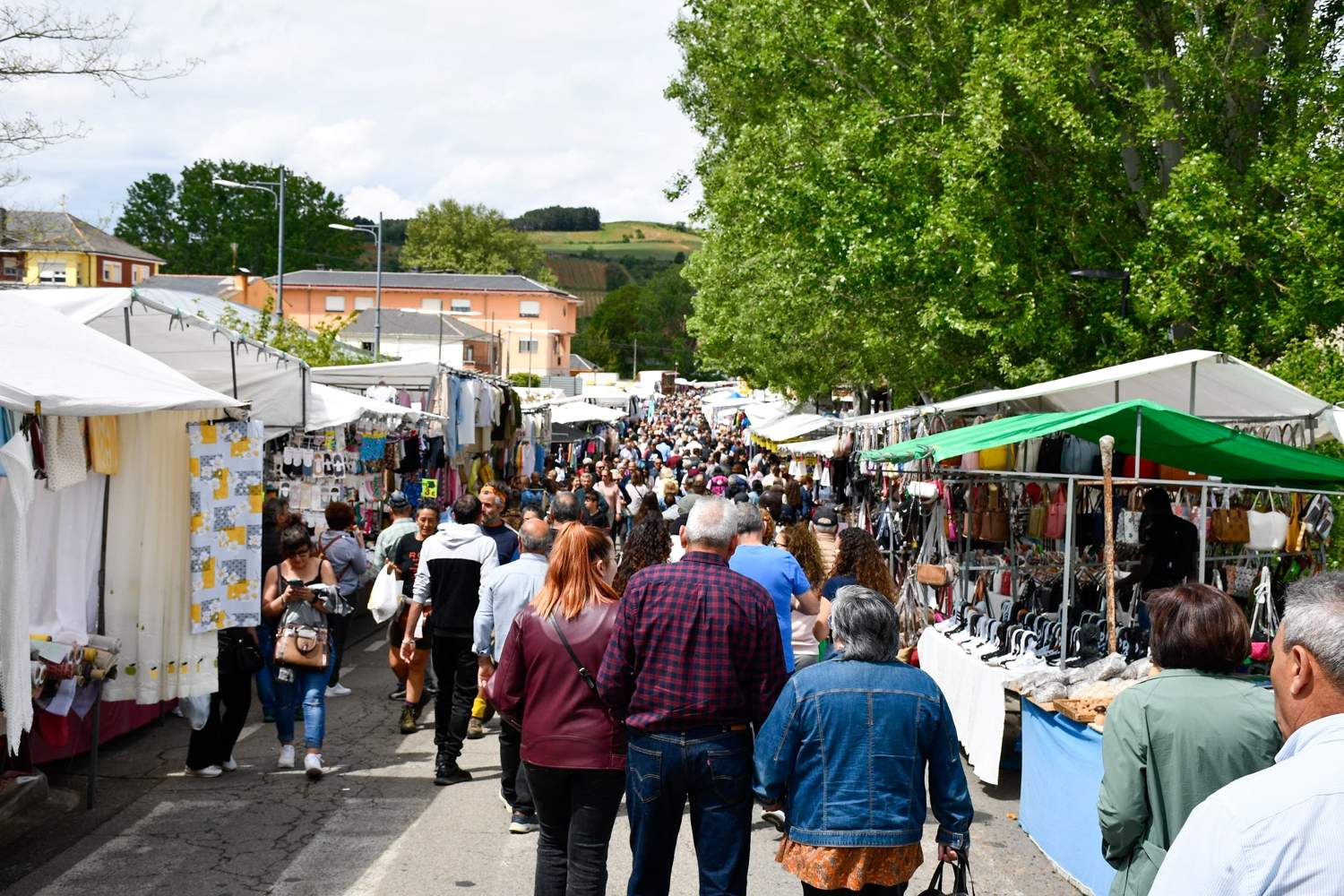 Feria de Mayo de Cacabelos (64)