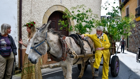 Los Maios de Villafranca 2025 (99)