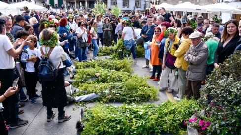 Los Maios de Villafranca 2025 (126)