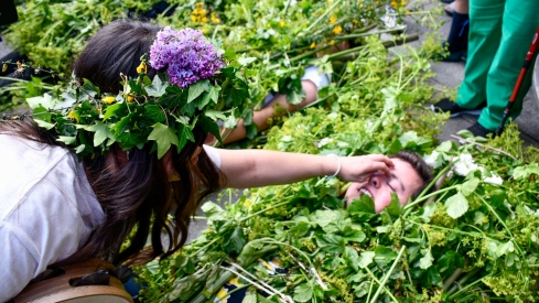 Los Maios de Villafranca 2025 (130)