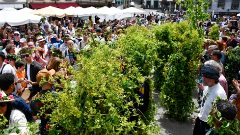 Los Maios de Villafranca 2025 (149)