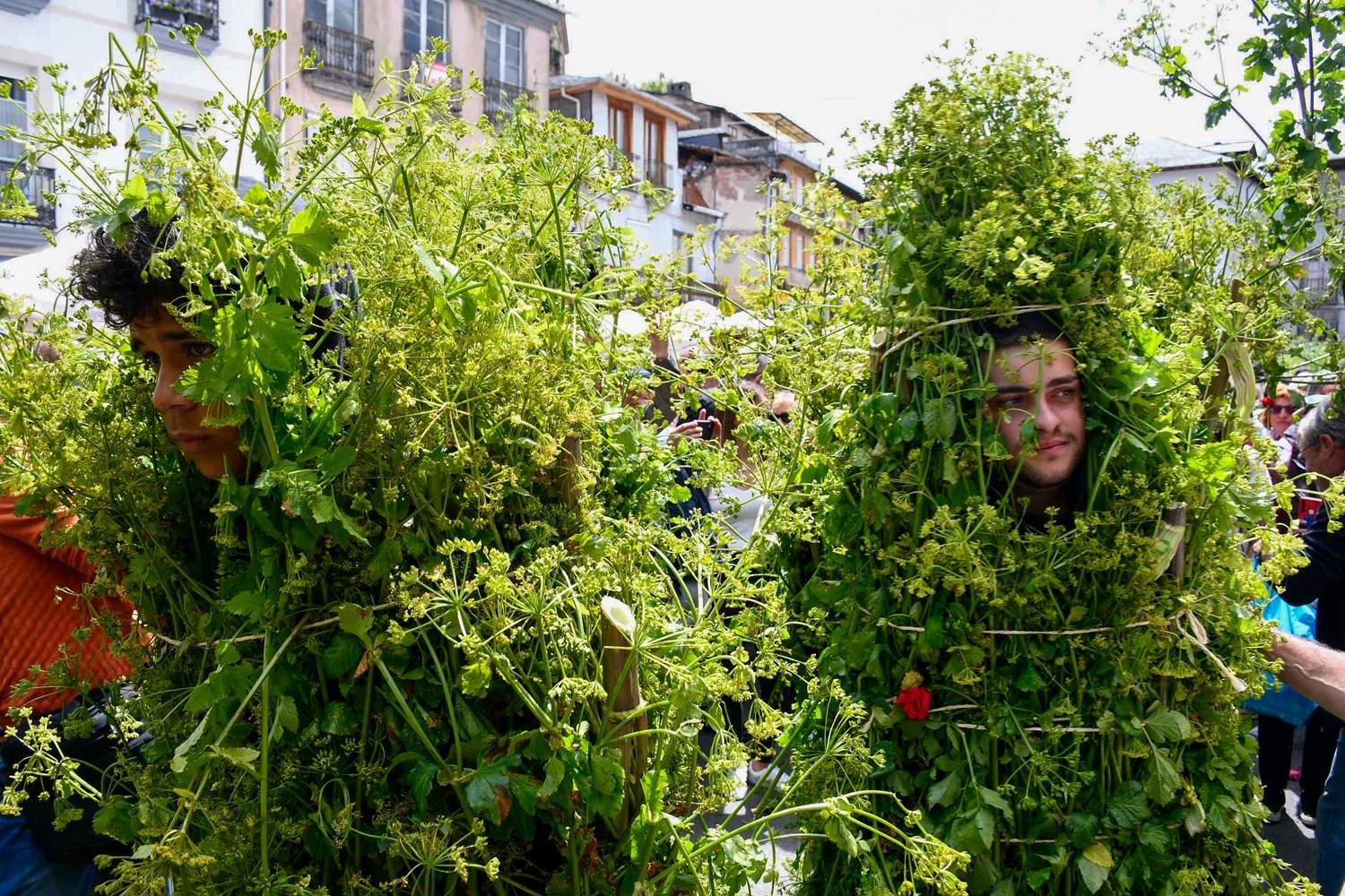 Los Maios de Villafranca 2025 (150)