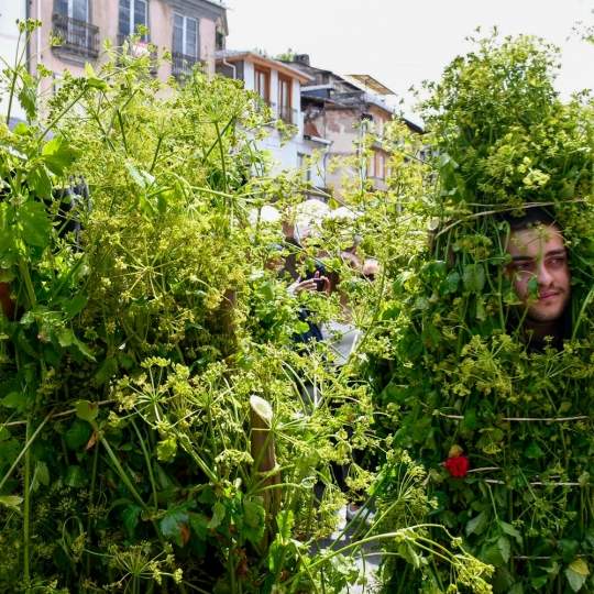 Los Maios de Villafranca 2025 (150)