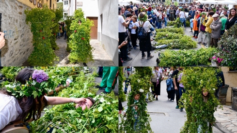 Los Maios de Villafranca