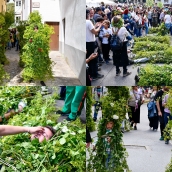 Los Maios de Villafranca