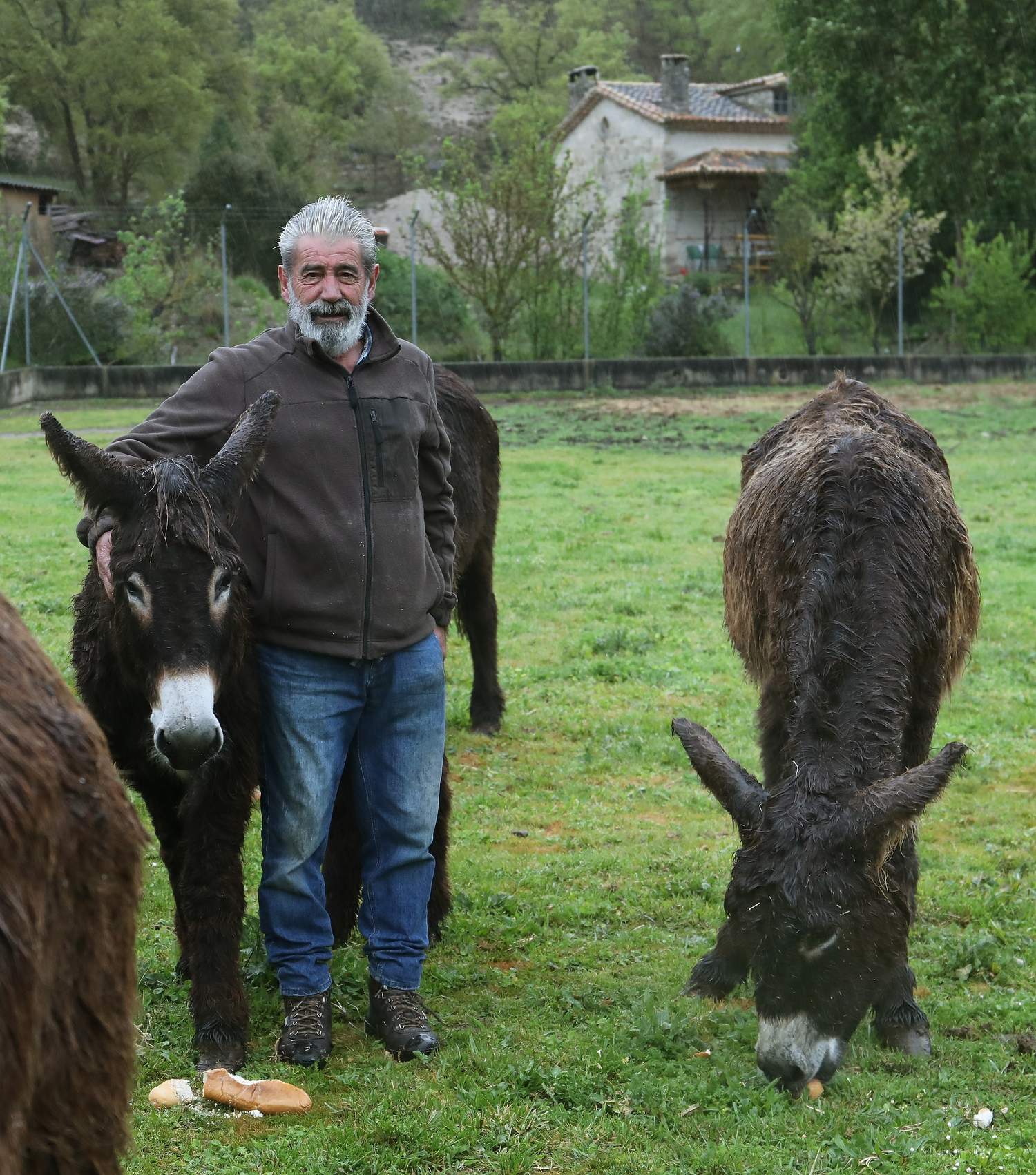 En el Centro de Ocio ‘Los Caños’, Luis Cantera se dedica ha conservar esta especie de burro en peligro de extinción | Brágimo / ICAL