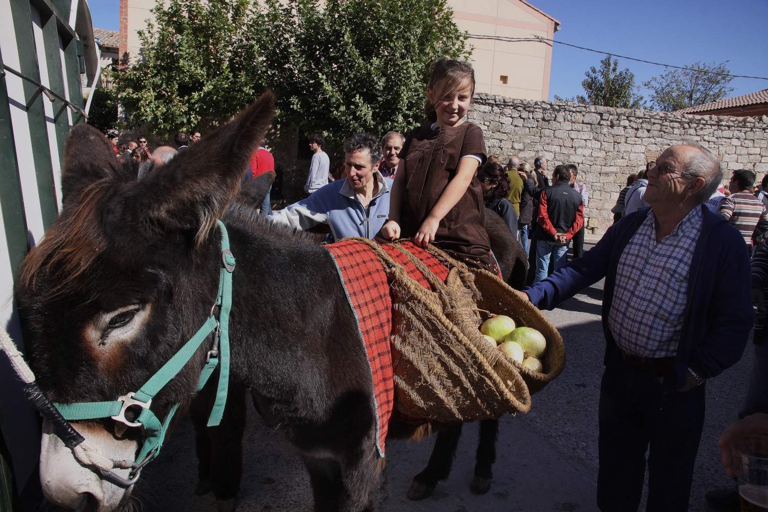 En el Centro de Ocio ‘Los Caños’, Luis Cantera se dedica ha conservar esta especie de burro en peligro de extinción | Brágimo / ICAL