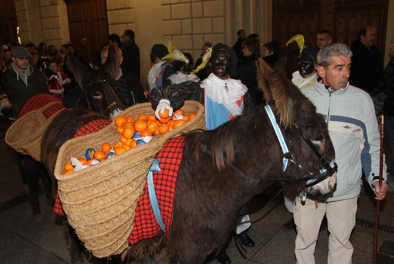 En el Centro de Ocio ‘Los Caños’, Luis Cantera se dedica ha conservar esta especie de burro en peligro de extinción | Brágimo / ICAL