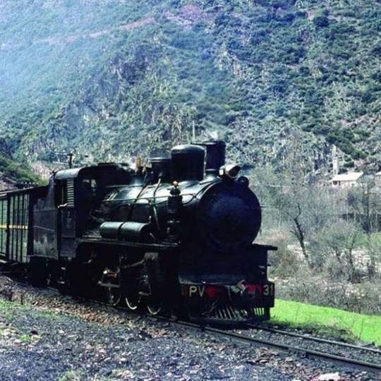 Imagen histórica del Ponfeblino Imagen histórica del Ponfeblino