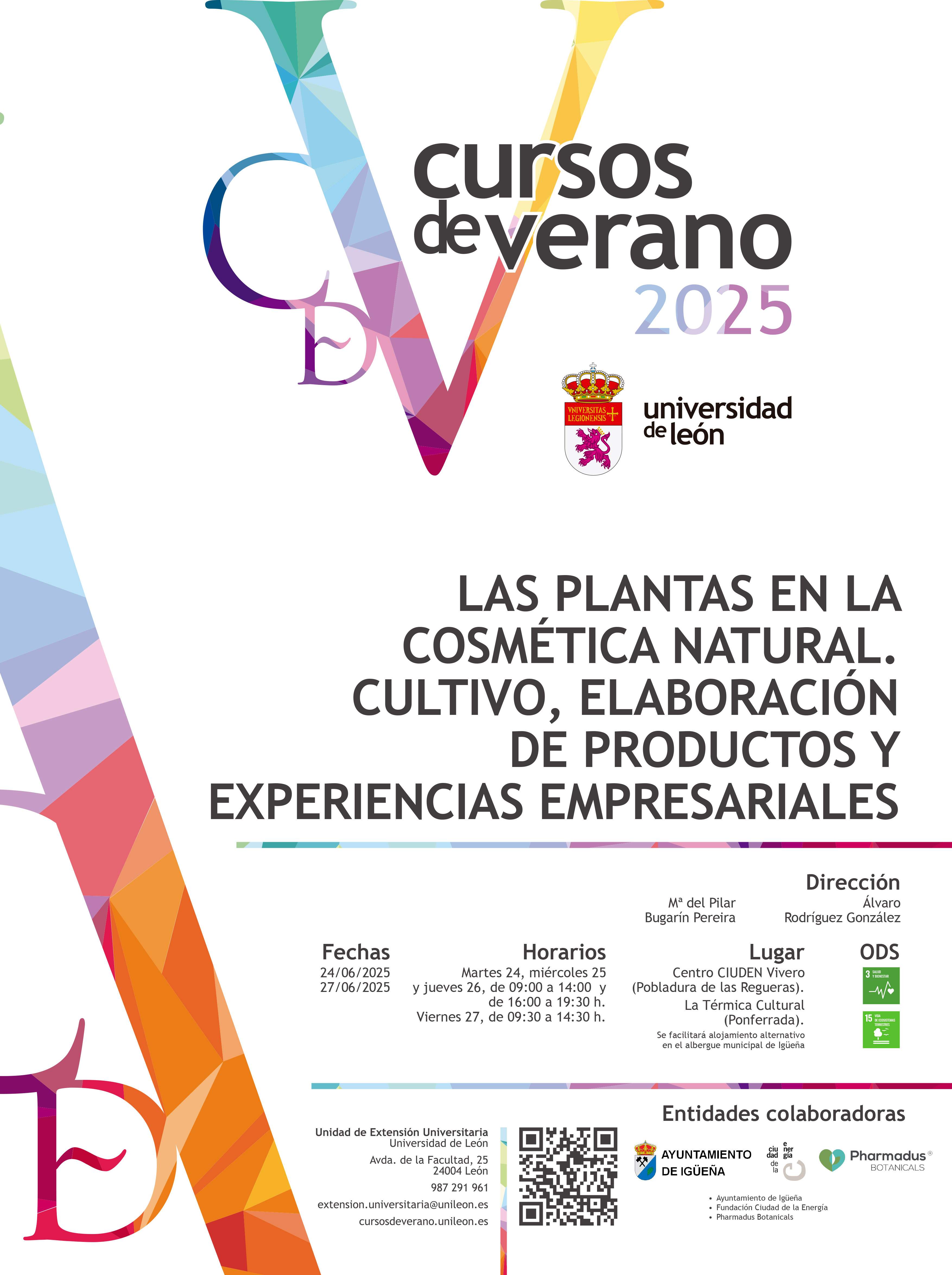 Cartel cursos verano ULE