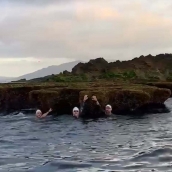 Basurco ya está en el agua 