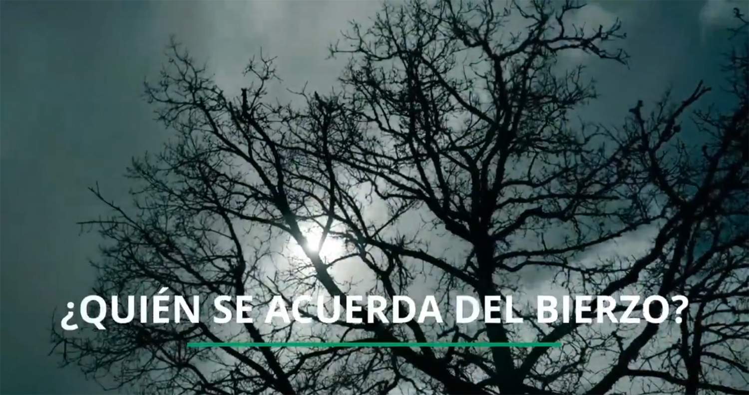 el bierzo en el escarabajo verde 3