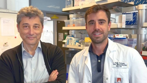 La proteina klotho prolonga la esperanza de vida