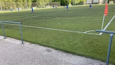 CESPED CAMPOS CESPED CAMPOS