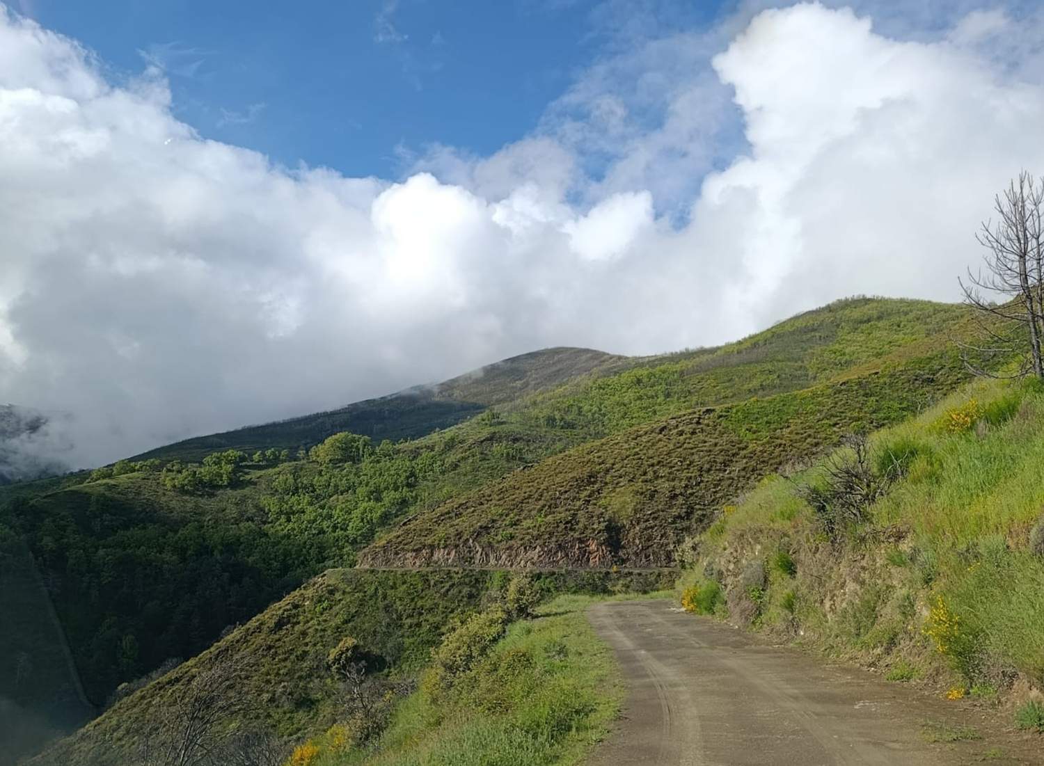 Acceso Santa Lucía de Valdueza 4