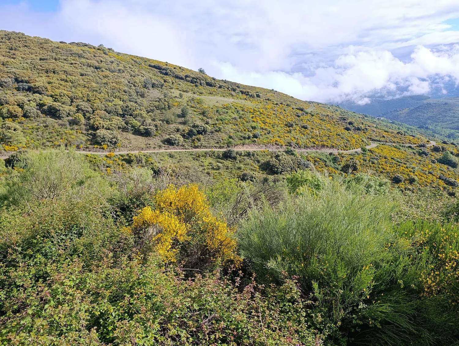 Acceso Santa Lucía de Valdueza 5