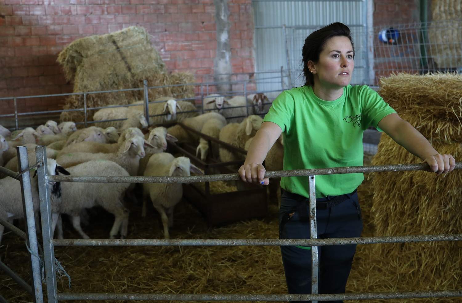 Explotación de ganado ovino de Nerea del Río en la localidad de Robladillo de Ucieza (Palencia) (5)