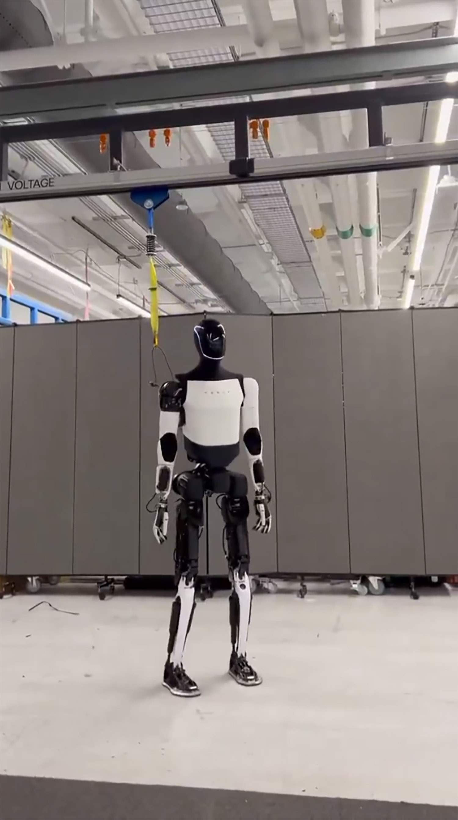 Robot humanoide Tesla Optimus