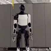 Robot humanoide Tesla Optimus.