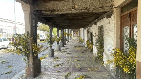 San Isidro cacabelos (1)