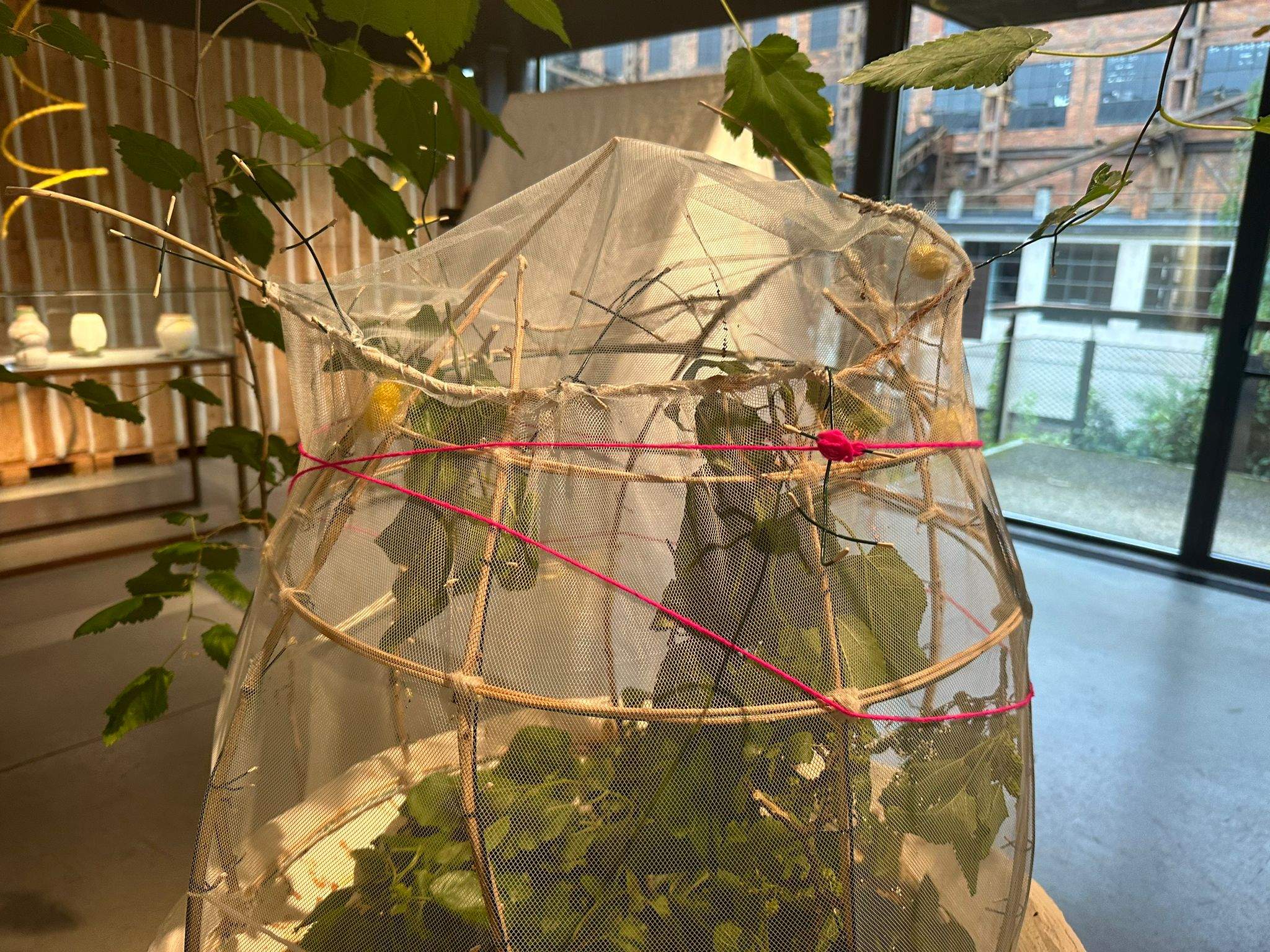 Exposicion Templo Transformacion