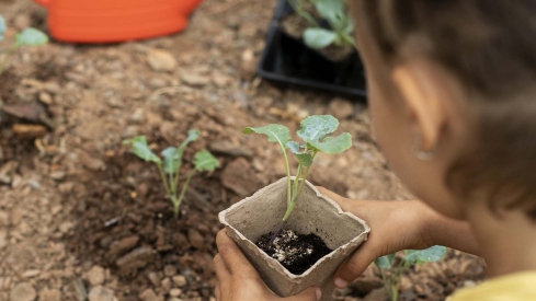 El Museo de la Energía y La Térmica Cultural invitan a disfrutar de una nueva edición ciclo de educación ambiental 'Un museo en verde'