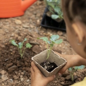 El Museo de la Energía y La Térmica Cultural invitan a disfrutar de una nueva edición ciclo de educación ambiental 'Un museo en verde'